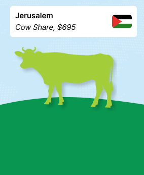 Qurban to Al Quds (Cow Share) - $695