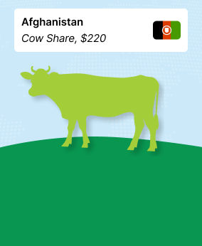 Qurban to Afghanistan (Cow Share) - $220