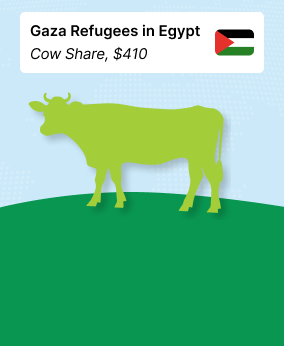 Qurban to Gaza Refugees (Cow Share) - $410