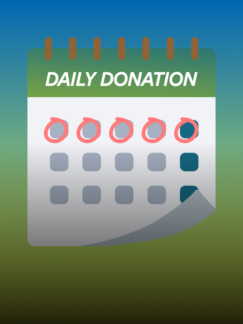 Automatic Donation Daily